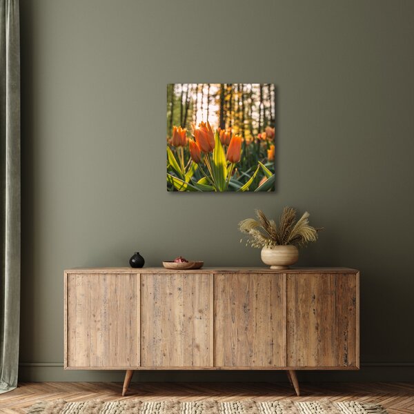 Obraz - květy tulipánů (30x30 cm)