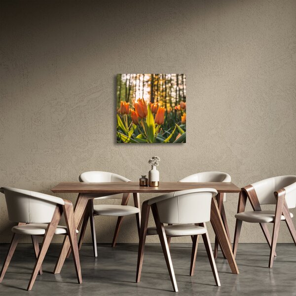 Obraz - květy tulipánů (30x30 cm)