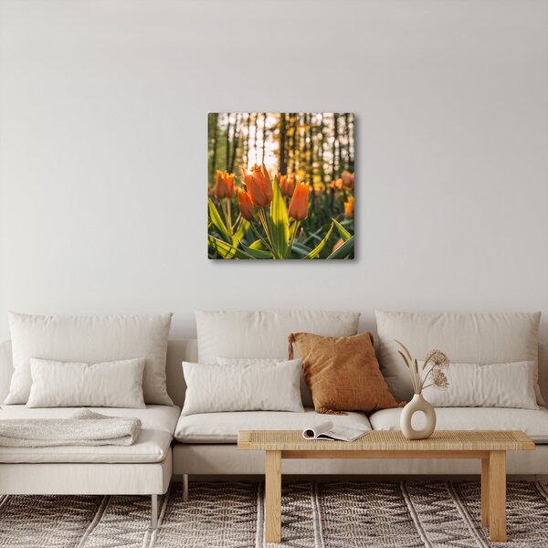 Obraz - květy tulipánů (30x30 cm)
