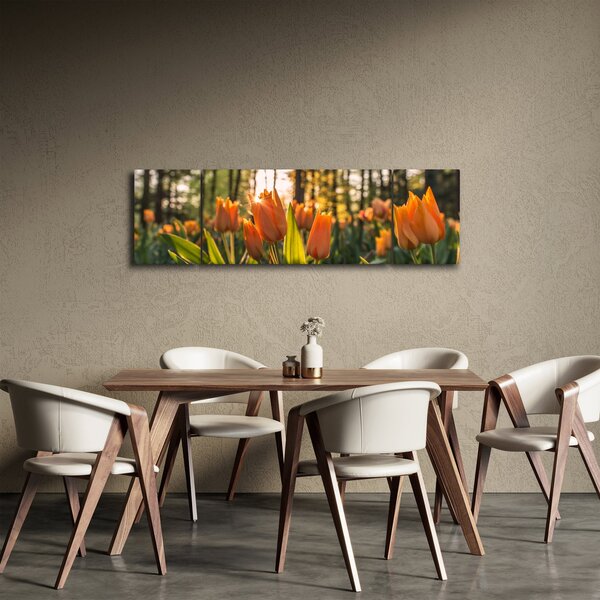 Obraz - květy tulipánů (170x50 cm)