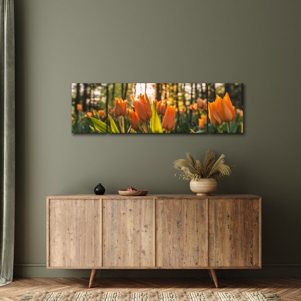 Obraz - květy tulipánů (170x50 cm)