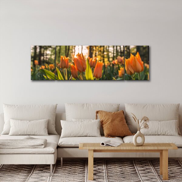 Obraz - květy tulipánů (170x50 cm)