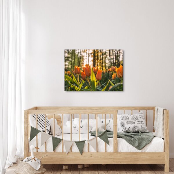 Obraz - květy tulipánů (70x50 cm)