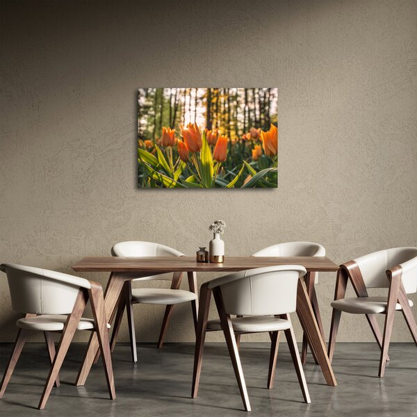 Obraz - květy tulipánů (70x50 cm)