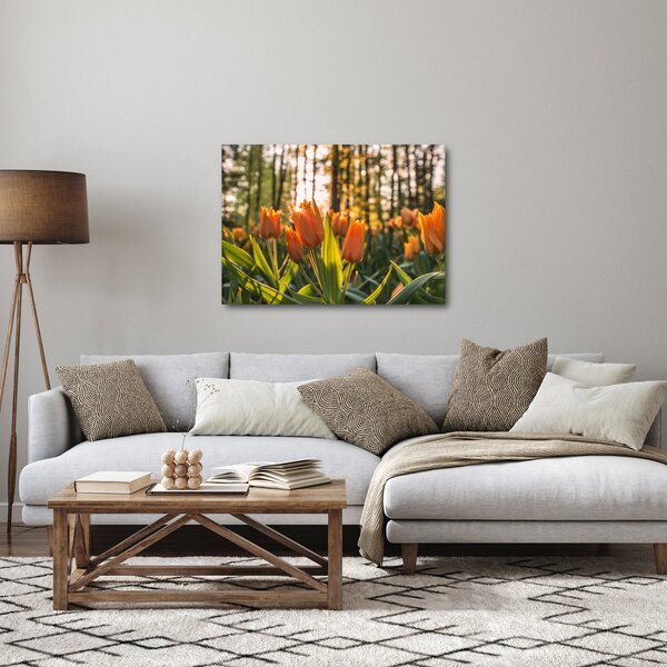 Obraz - květy tulipánů (70x50 cm)