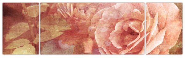Obraz růží (170x50 cm)