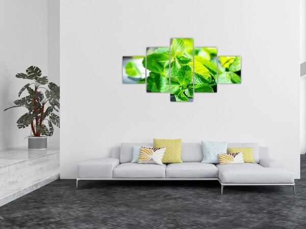 Obraz máty (125x70 cm)