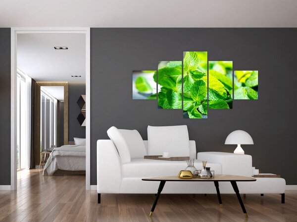 Obraz máty (125x70 cm)
