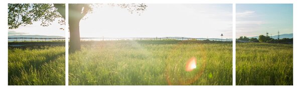 Obraz letní louky (170x50 cm)