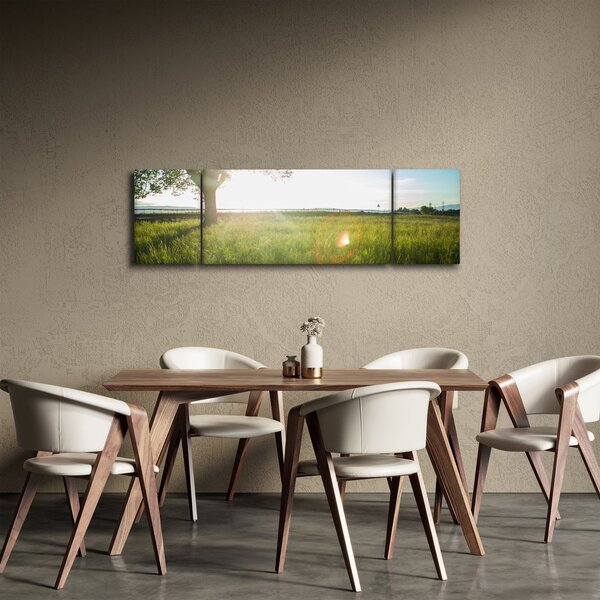 Obraz letní louky (170x50 cm)