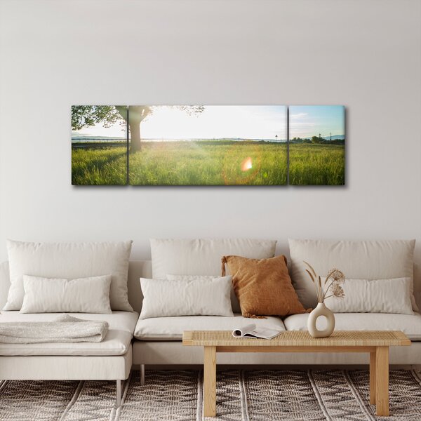 Obraz letní louky (170x50 cm)