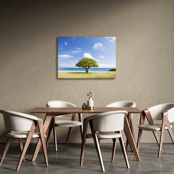 Obraz pláže se stromem (70x50 cm)