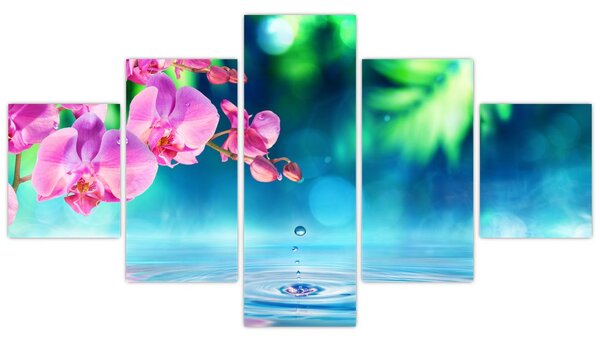 Obraz - Orchidej (125x70 cm)