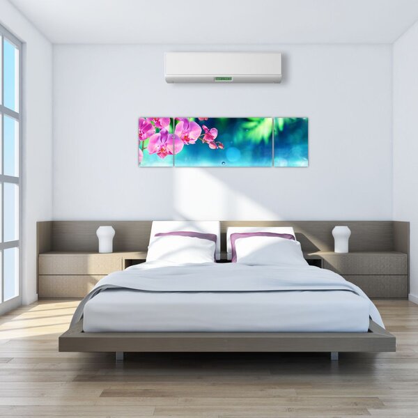 Obraz - Orchidej (170x50 cm)