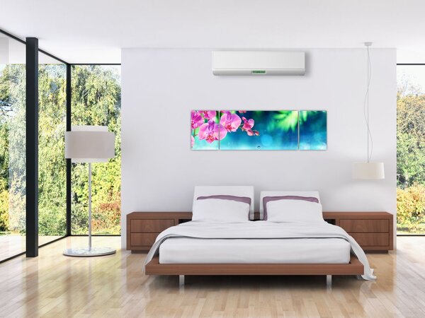 Obraz - Orchidej (170x50 cm)