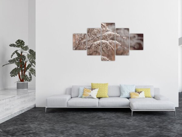 Obraz rostlin (125x70 cm)