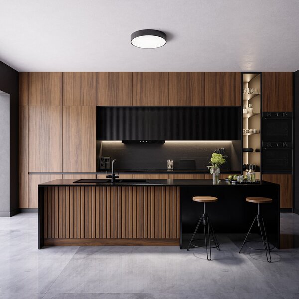 Stropní Lampa TEMAR LIGHTING, Cleo, stmívatelné, Černá, Obývací pokoj, Kov, Moderní