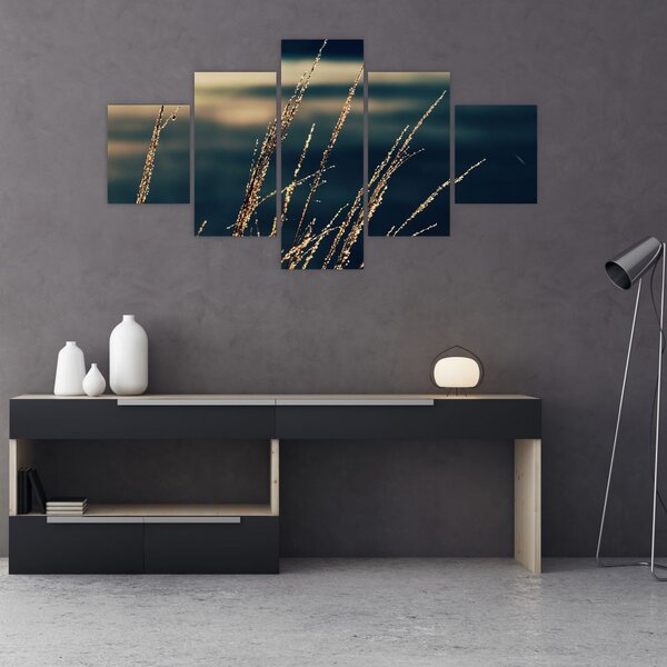Obraz travin (125x70 cm)