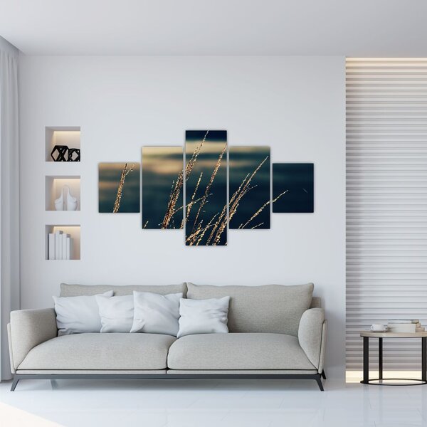 Obraz travin (125x70 cm)