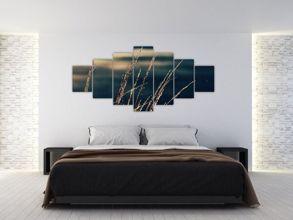 Obraz travin (210x100 cm)