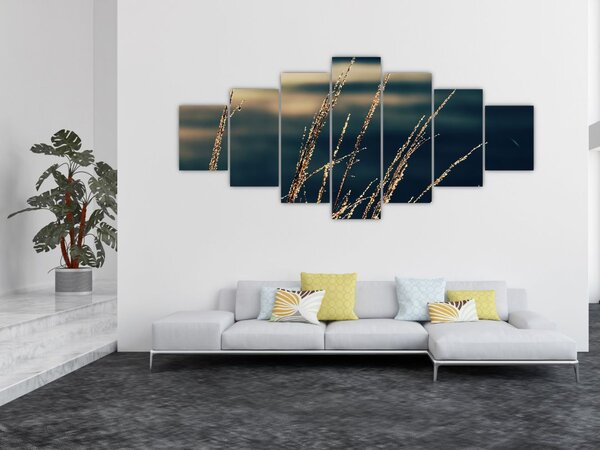 Obraz travin (210x100 cm)