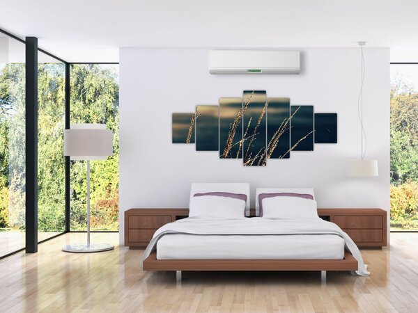 Obraz travin (210x100 cm)