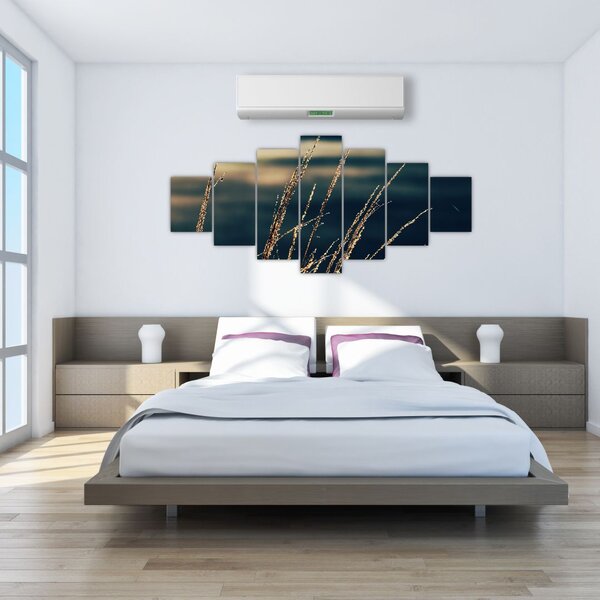 Obraz travin (210x100 cm)