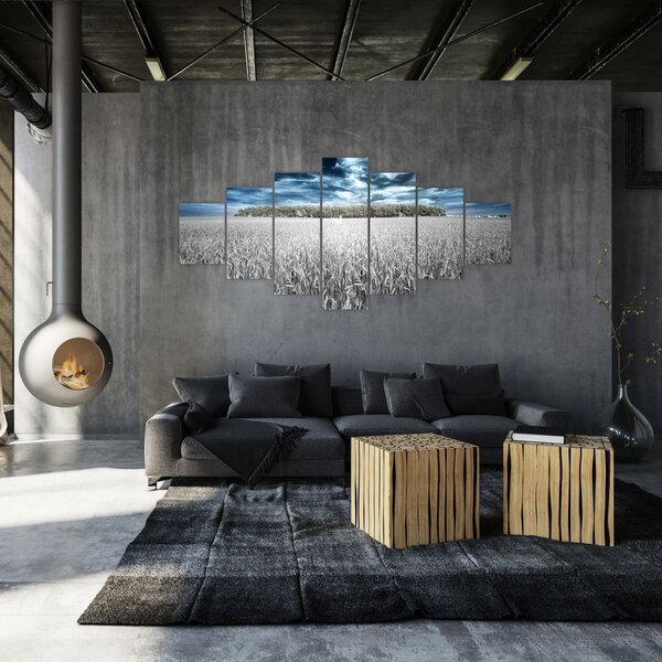 Obraz pole (210x100 cm)