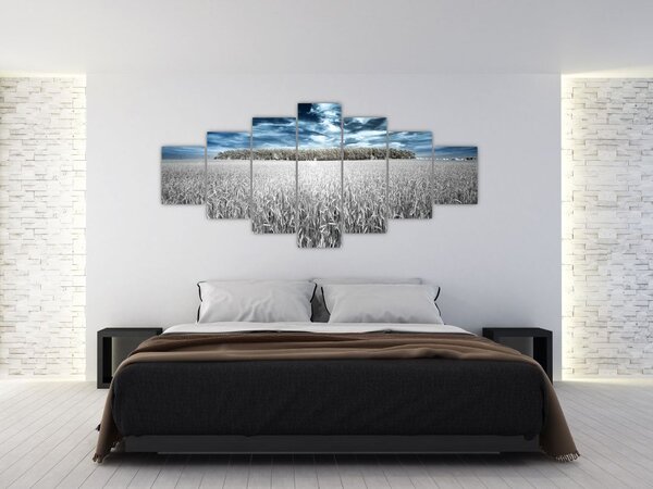 Obraz pole (210x100 cm)