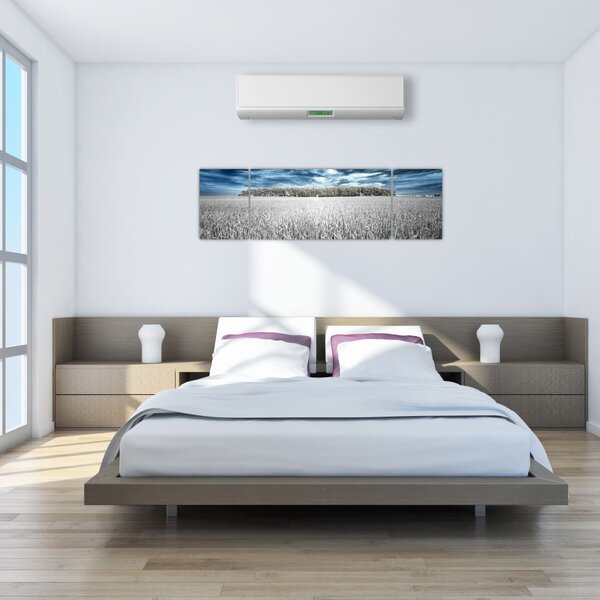 Obraz pole (170x50 cm)