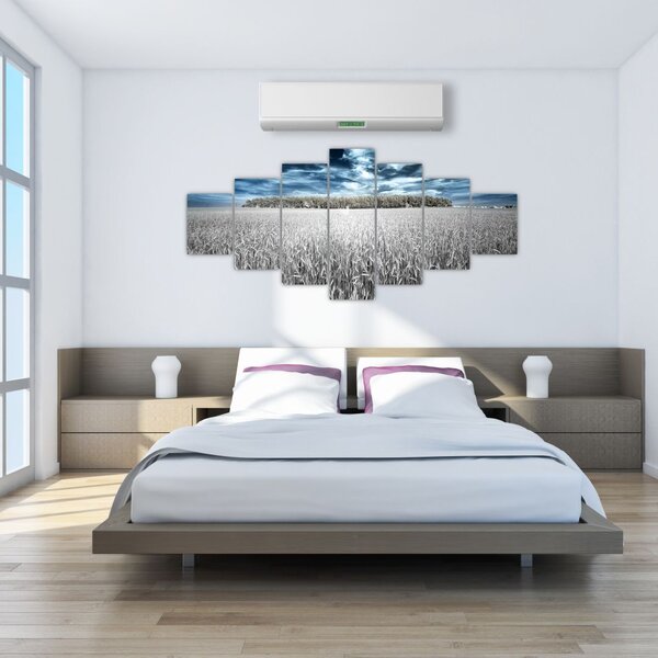 Obraz pole (210x100 cm)