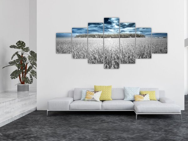 Obraz pole (210x100 cm)