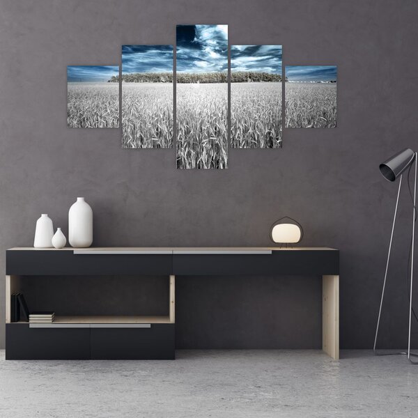 Obraz pole (125x70 cm)