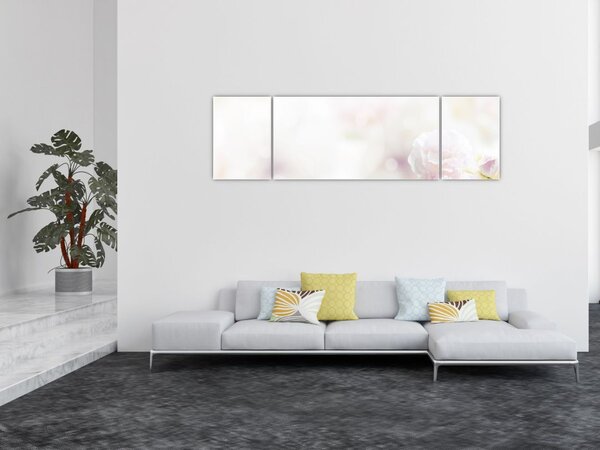 Obraz něžných květů (170x50 cm)