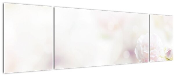 Obraz něžných květů (170x50 cm)