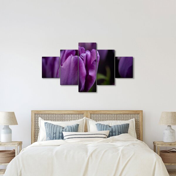 Obraz květů tulipánů (125x70 cm)