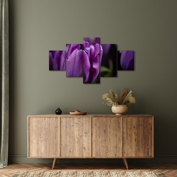 Obraz květů tulipánů (125x70 cm)