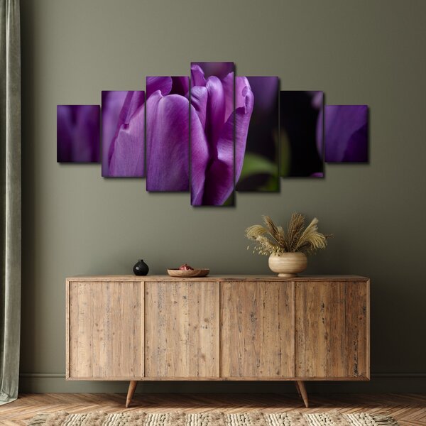 Obraz květů tulipánů (210x100 cm)