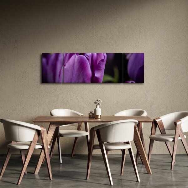 Obraz květů tulipánů (170x50 cm)