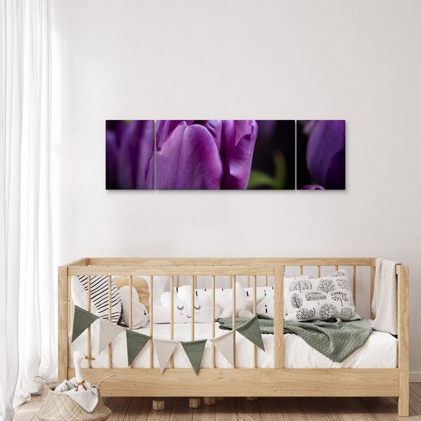 Obraz květů tulipánů (170x50 cm)