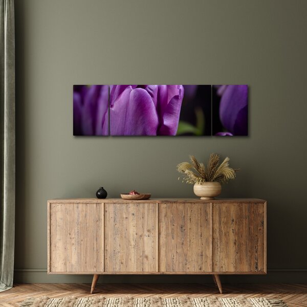 Obraz květů tulipánů (170x50 cm)