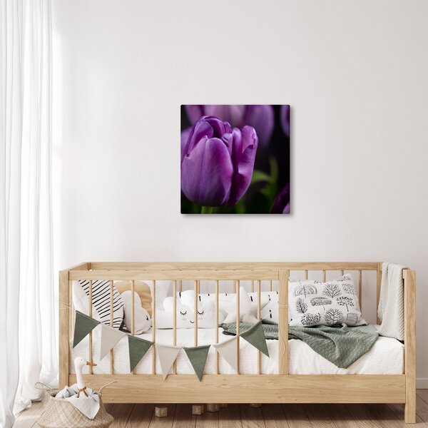 Obraz květů tulipánů (30x30 cm)