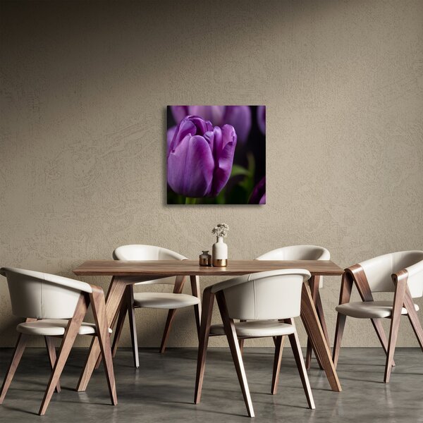 Obraz květů tulipánů (30x30 cm)