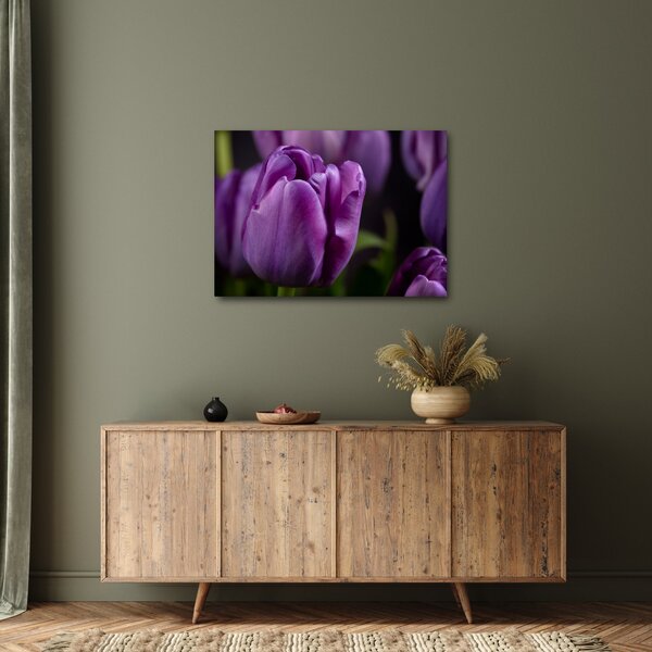 Obraz květů tulipánů (70x50 cm)