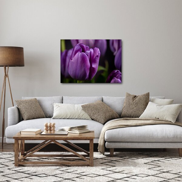 Obraz květů tulipánů (70x50 cm)