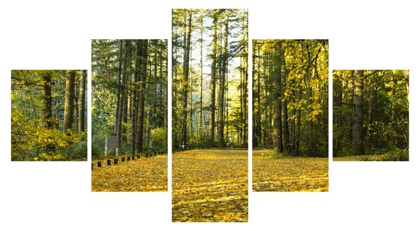 Obraz - les na podzim (125x70 cm)