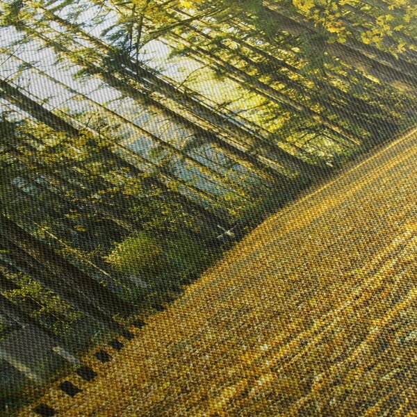 Obraz - les na podzim (210x100 cm)