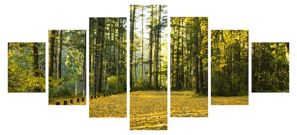 Obraz - les na podzim (210x100 cm)