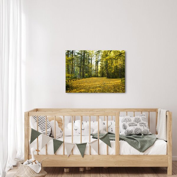 Obraz - les na podzim (70x50 cm)
