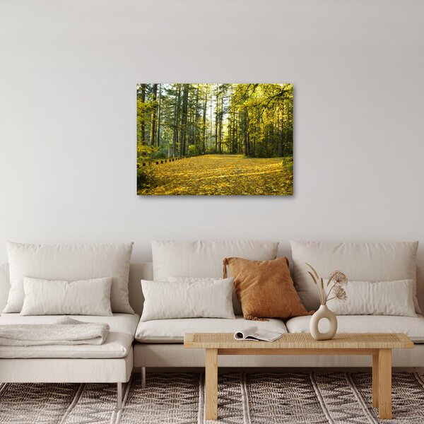 Obraz - les na podzim (70x50 cm)
